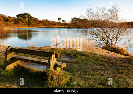 Ham common, England, view of empty bench looking out over lake on Ham common nature reserve.