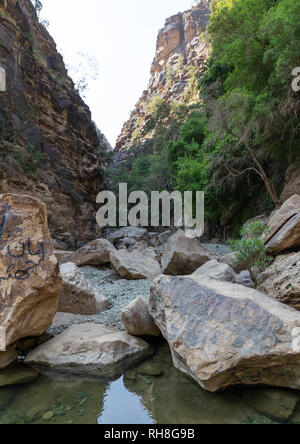 Wadi Lajab, Jizan Province, Jebel Qahar, Saudi Arabia Stock Photo