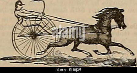 A Breeder and sportsman. Horses. 1887 Ike ^xzz&zx anfi