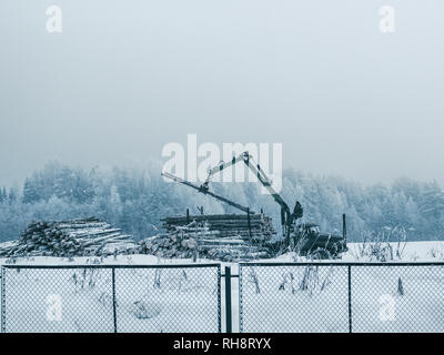 Timber carrier loads logs in the north of Russia Stock Photo