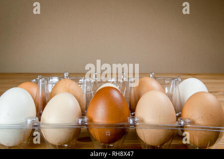 Side view of ten chicken eggs in a plastic box on a table with copy space. Stock Photo