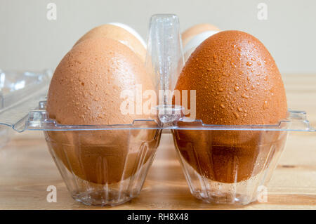Close up of wet clean chicken eggs in a plastic box on a table. Stock Photo