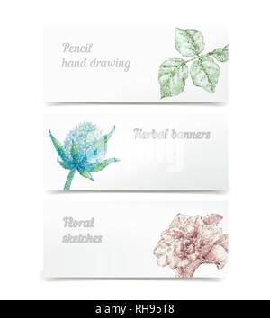 Vector floral hand drawn herbal banners, color pencils botanical elements as heath and beauty decoration - rose and leaves under clipping mask Stock Vector