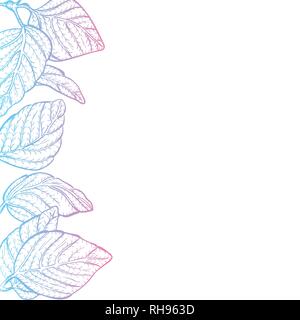 Vector background - nature foliage leaves border frame with copy space and white backdrop, modern pink and blue faded gradient Stock Vector