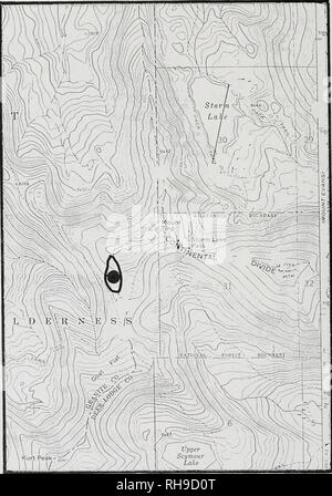 . Botanical survey of the Goat Flat proposed research natural area, Deerlodge National Forest. Rare plants; Natural areas; Botany. 29. Location of Saussurea weberi in the Goat Flat PRNA.. Please note that these images are extracted from scanned page images that may have been digitally enhanced for readability - coloration and appearance of these illustrations may not perfectly resemble the original work.. Achuff, P. L; Roe, Lisa Schassberger; Montana Natural Heritage Program. Helena, Mont. : Montana Natural Heritage Program Stock Photo