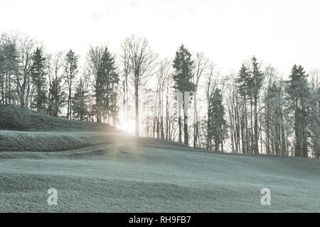 evening sun over treeline and snow covered field Stock Photo