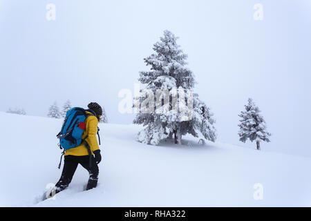 Woman hiking on snowy hillside with snow covered trees, Krvavec, Slovenia Stock Photo