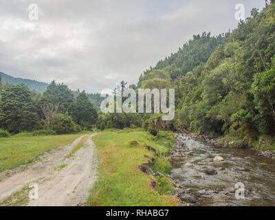 Dirt road leading into forest hills, Mimiha Stream, Ngamuriwai, Te Urewera, North Island, new Zealand Stock Photo