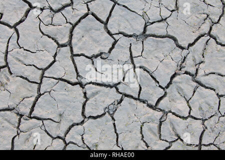 Dry cracked mud in dried out pond / stream caused by prolonged drought due to extreme summer temperatures Stock Photo