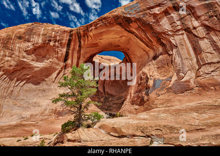 Bowtie Arch, Moab, Utah, USA, North America Stock Photo