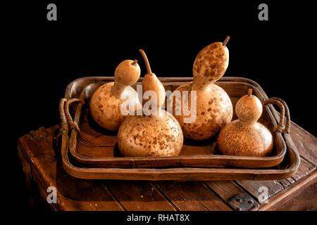 Ornamental pumpkins, gourds and squashes in a wooden tray on black background Stock Photo
