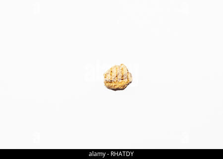 Close-up on one slice of dried ginger for cooking on a white isolated background Stock Photo