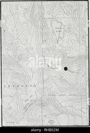 . Botanical survey of the Goat Flat proposed research natural area, Deerlodge National Forest. Rare plants; Natural areas; Botany. 27. Location of Salix cascadensis in the Goat Flat PRNA,. Please note that these images are extracted from scanned page images that may have been digitally enhanced for readability - coloration and appearance of these illustrations may not perfectly resemble the original work.. Achuff, P. L; Roe, Lisa Schassberger; Montana Natural Heritage Program. Helena, Mont. : Montana Natural Heritage Program Stock Photo