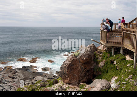 Looking out into the Southern Ocean near Admiral's Arch, Kangaroo Island, South Australia, Australia Stock Photo