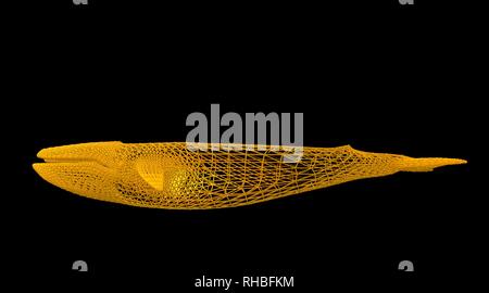 3d rendering of an animal wireframe isolated on a black background ...
