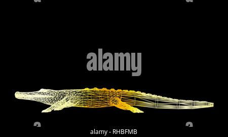 3d rendering of an animal wireframe isolated on a black background Stock Photo