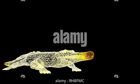 3d rendering of an animal wireframe isolated on a black background Stock Photo