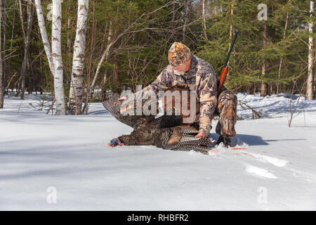 Hunter posing with his spring turkey in northern Wisconsin. Stock Photo