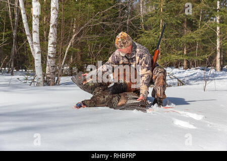 Hunter posing with his spring turkey in northern Wisconsin. Stock Photo