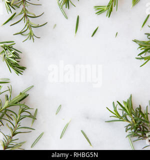 Rosemary sprigs on marble surface with copy space Stock Photo