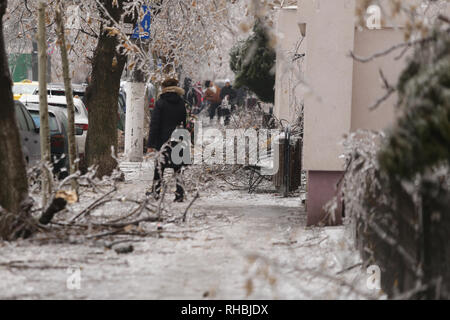 Broken tree branches on the sidewalk due to the weight of the ice after a freezing rain phenomenon Stock Photo