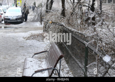 Broken tree branches on the sidewalk due to the weight of the ice after a freezing rain phenomenon Stock Photo