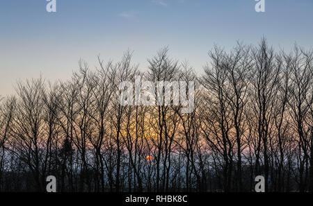 Sun Setting behind Silhouetted Trees on the rugged and beautiful Dartmoor, in Devon, UK Stock Photo