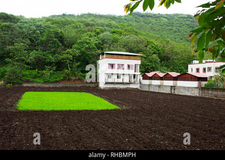 View of house and field from Singhgad, Maharashtra, Pune Stock Photo