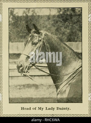 . The book of live stock champions. Livestock. . Please note that these images are extracted from scanned page images that may have been digitally enhanced for readability - coloration and appearance of these illustrations may not perfectly resemble the original work.. Hale, Philip Henry. [from old catalog]. St. Louis, Mo. , P. H. Hale Stock Photo