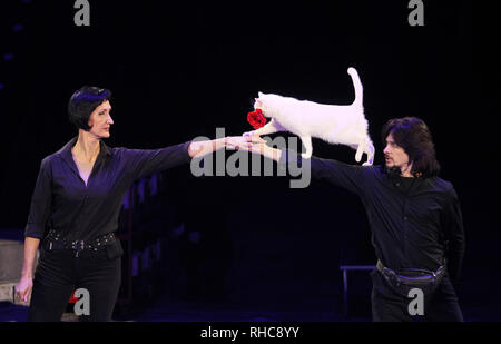 Kiev, Ukraine. 01st Feb, 2019. Circus artists seen performing with dogs during the show. The new international show 'Black and White' of German modern circus at the Ukrainian National Circus in Kiev, Ukraine. The show will be staged from February 2 till April 21. Credit: SOPA Images Limited/Alamy Live News Stock Photo