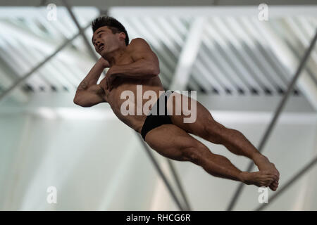 Plymouth, UK. 2nd February 2019. Daniel Goodfellow - COLD in Men's 3M Final during British National Diving Cup 2019 at Plymouth Life Centre on Saturday, 02 February 2019. PLYMOUTH ENGLAND.  (Editorial use only, license required for commercial use. No use in betting, games or a single club/league/player publications.) Credit: Taka G Wu/Alamy News Credit: Taka Wu/Alamy Live News Stock Photo