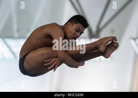 Plymouth, UK. 2nd February 2019. in Men's 3M Final during British National Diving Cup 2019 at Plymouth Life Centre on Saturday, 02 February 2019. PLYMOUTH ENGLAND.  (Editorial use only, license required for commercial use. No use in betting, games or a single club/league/player publications.) Credit: Taka G Wu/Alamy News Credit: Taka Wu/Alamy Live News Stock Photo