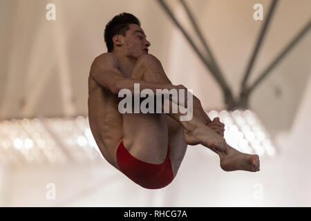 Plymouth, UK. 2nd February 2019. Anthony Harding - COLD in Men's 3M Final during British National Diving Cup 2019 at Plymouth Life Centre on Saturday, 02 February 2019. PLYMOUTH ENGLAND.  (Editorial use only, license required for commercial use. No use in betting, games or a single club/league/player publications.) Credit: Taka G Wu/Alamy News Credit: Taka Wu/Alamy Live News Stock Photo