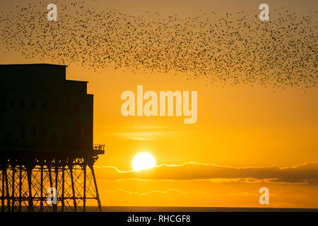 Blackpool, Lancashire, UK. 2nd February 2019.  The last waltz before bed for the tens of thousands of beautiful Starlings gracing the skies above Blackpool's north pier.  As the colder temperatures begin to take hold, more & more of these songbirds swarm to roost every evening under the iron stanchions looking to shelter from the biting cold.  Credit: Cernan Elias/Alamy Live News Stock Photo