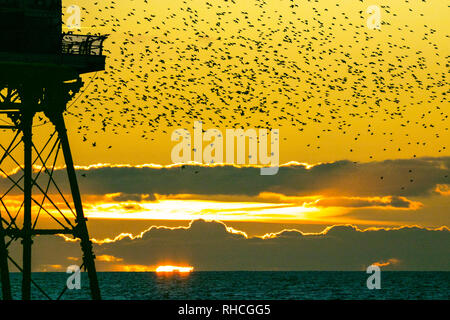 Blackpool, Lancashire, UK. 2nd February 2019.  The last waltz before bed for the tens of thousands of beautiful Starlings gracing the skies above Blackpool's north pier.  As the colder temperatures begin to take hold, more & more of these songbirds swarm to roost every evening under the iron stanchions looking to shelter from the biting cold.  Credit: Cernan Elias/Alamy Live News Stock Photo