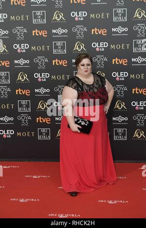 Sevilla, Spain. 2nd Feb 2019. Credit: CORDON PRESS/Alamy Live News Stock Photo