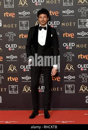 Sevilla, Spain. 2nd Feb 2019. Actor and model Andres Velencoso at photocall during the 33th annual Goya Film Awards in Sevilla, on Saturday 2nd February, 2019. Credit: CORDON PRESS/Alamy Live News Stock Photo