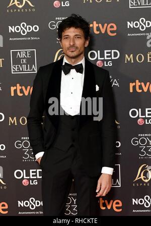 Sevilla, Spain. 2nd Feb 2019. Actor and model Andres Velencoso at photocall during the 33th annual Goya Film Awards in Sevilla, on Saturday 2nd February, 2019. Credit: CORDON PRESS/Alamy Live News Stock Photo