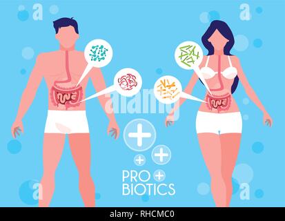 body of man and woman with probiotics organisms vector illustration design Stock Vector