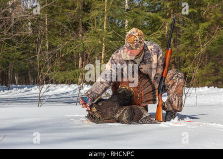 Hunter posing with his spring turkey in northern Wisconsin. Stock Photo