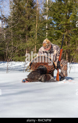 Hunter posing with his spring turkey in northern Wisconsin. Stock Photo