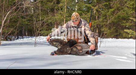 Hunter posing with his spring turkey in northern Wisconsin. Stock Photo