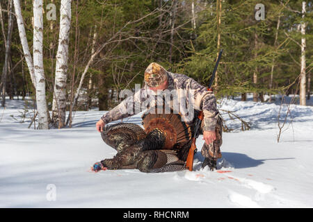 Hunter posing with his spring turkey in northern Wisconsin. Stock Photo