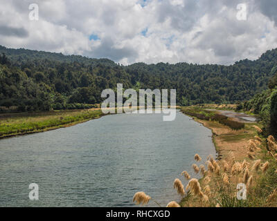 Hopuruahine Stream, lower reaches close to Lake Waikaremoana, Te Urewera National Park, North Island, New Zealand Stock Photo