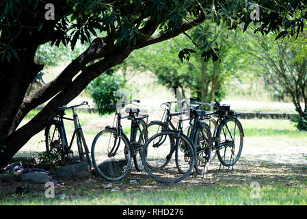 Cycles under shade Stock Photo