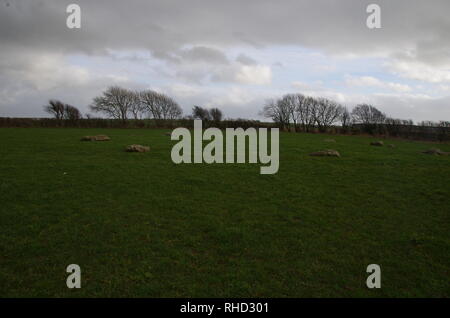 Kingston Russell Stone Circle. The Macmillan Way. Long-distance trail. Dorset. England. UK Stock Photo