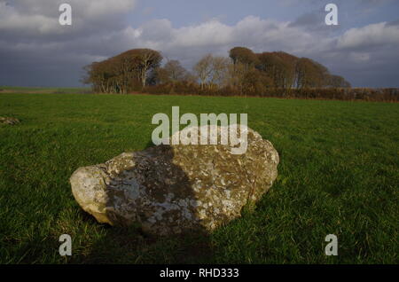 Kingston Russell Stone Circle. The Macmillan Way. Long-distance trail. Dorset. England. UK Stock Photo