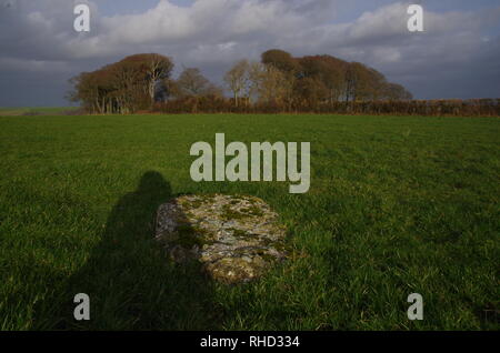 Kingston Russell Stone Circle. The Macmillan Way. Long-distance trail. Dorset. England. UK Stock Photo