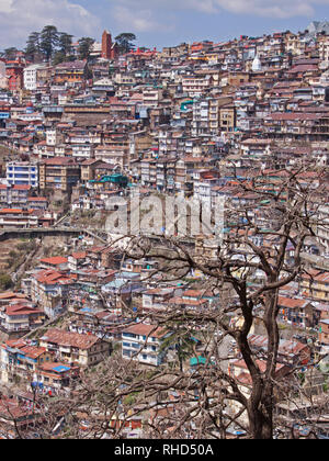 Housing on a densely populated  hillside in North India. Shimla, in the foothills of the Himalayas, was the summer HQ of the British administration Stock Photo