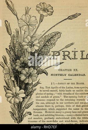 . The book of garden management : Comprising information on laying out and planting gardens... Gardening -- Great Britain. CHAPTER XX. MONTHLY CALENDAE. § 1.—Aspect of the Month. 829. The Aprilis of the Latins, from ajjerire, to unveil oneself, fairly lands us amidst the glories of spring; &quot; with wreaths of the rainbow and sandals of green.&quot; The opening buds and blossoms respond to the retui-ning warmth of the sun, although in our northern and sea-girfc climate there is, perhaps, little of that genial temperature which suggested the name to the Eomans. However, many a grassy lane and Stock Photo